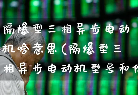 隔爆型三相异步电动机啥意思(隔爆型三相异步电动机型号和价格)_https://www.jumanxin.com_创业板_第1张