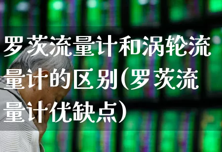 罗茨流量计和涡轮流量计的区别(罗茨流量计优缺点)_https://www.jumanxin.com_创业板_第1张