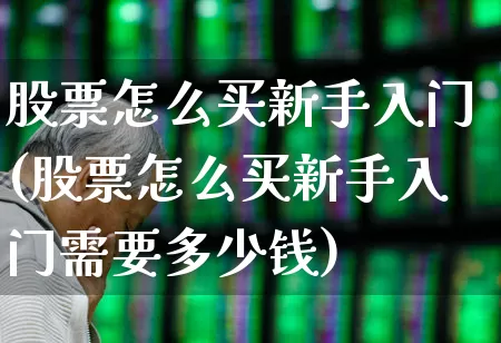 股票怎么买新手入门(股票怎么买新手入门需要多少钱)_https://www.jumanxin.com_创业板_第1张