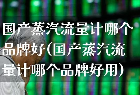 国产蒸汽流量计哪个品牌好(国产蒸汽流量计哪个品牌好用)_https://www.jumanxin.com_深交所_第1张