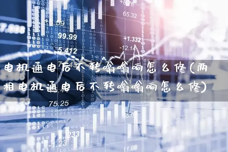 电机通电后不转嗡嗡响怎么修(两相电机通电后不转嗡嗡响怎么修)_https://www.jumanxin.com_创业板_第1张