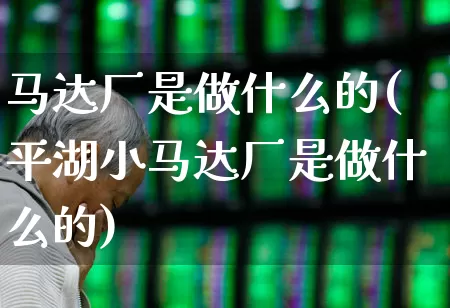 马达厂是做什么的(平湖小马达厂是做什么的)_https://www.jumanxin.com_深交所_第1张