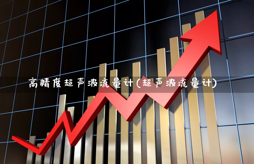 高精度超声波流量计(超声波流量计)_https://www.jumanxin.com_北交所_第1张