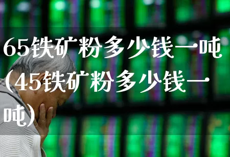 65铁矿粉多少钱一吨(45铁矿粉多少钱一吨)_https://www.jumanxin.com_创业板_第1张