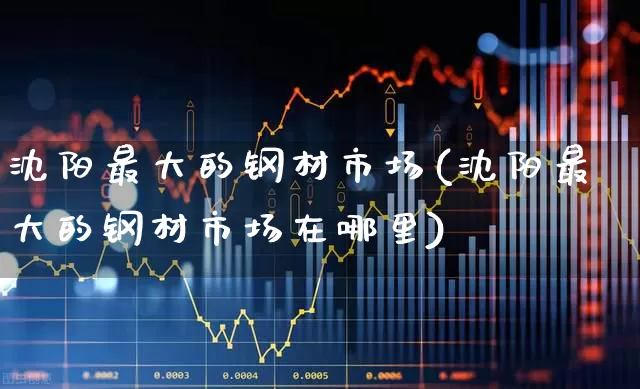 沈阳最大的钢材市场(沈阳最大的钢材市场在哪里)_https://www.jumanxin.com_深交所_第1张