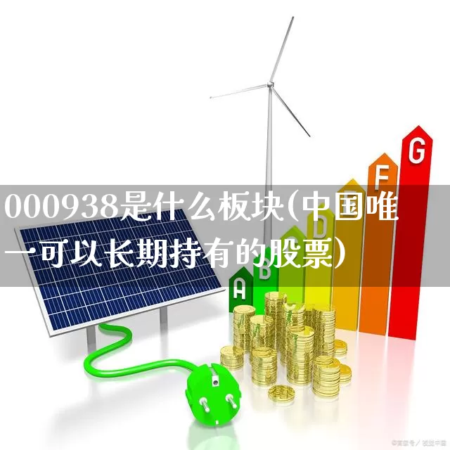000938是什么板块(中国唯一可以长期持有的股票)_https://www.jumanxin.com_上交所_第1张