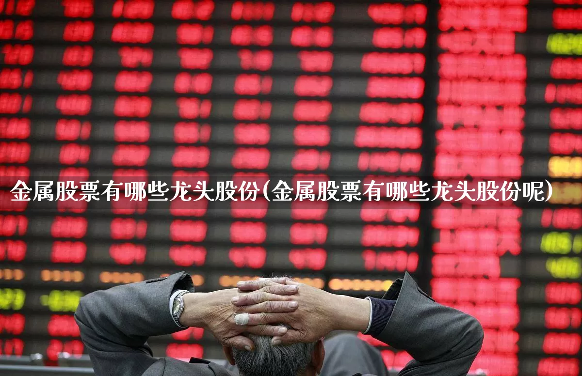 金属股票有哪些龙头股份(金属股票有哪些龙头股份呢)_https://www.jumanxin.com_北交所_第1张