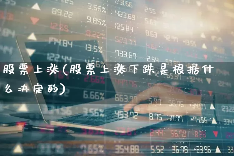 股票上涨(股票上涨下跌是根据什么决定的)_https://www.jumanxin.com_深交所_第1张