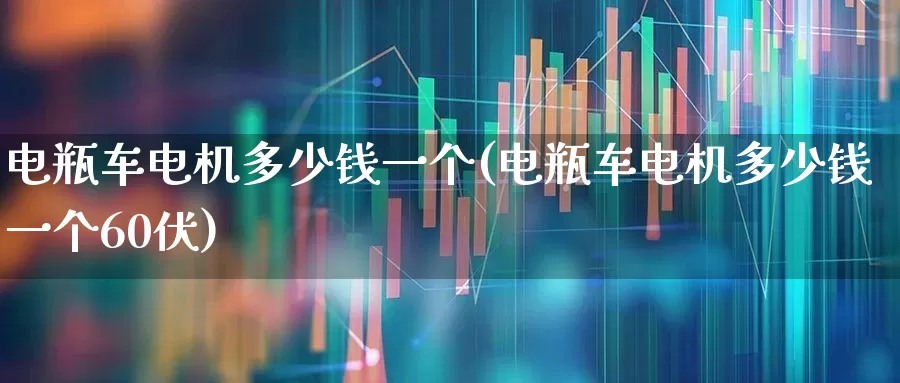 电瓶车电机多少钱一个(电瓶车电机多少钱一个60伏)_https://www.jumanxin.com_北交所_第1张