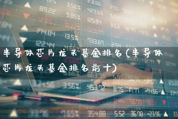 半导体芯片龙头基金排名(半导体芯片龙头基金排名前十)_https://www.jumanxin.com_北交所_第1张
