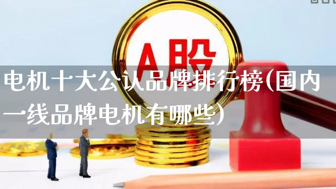 电机十大公认品牌排行榜(国内一线品牌电机有哪些)_https://www.jumanxin.com_上交所_第1张