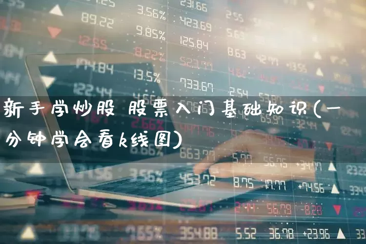 新手学炒股 股票入门基础知识(一分钟学会看k线图)_https://www.jumanxin.com_北交所_第1张