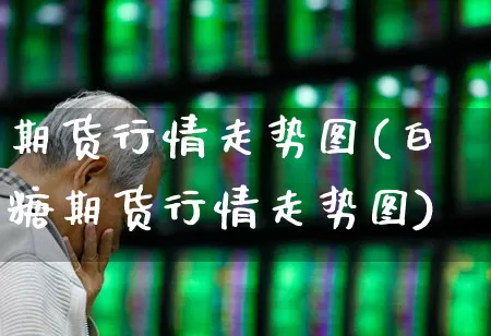 期货行情走势图(白糖期货行情走势图)_https://www.jumanxin.com_创业板_第1张