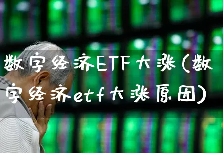 数字经济ETF大涨(数字经济etf大涨原因)_https://www.jumanxin.com_上交所_第1张