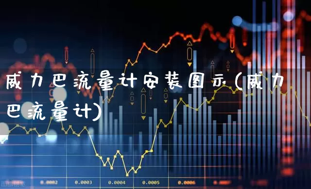 威力巴流量计安装图示(威力巴流量计)_https://www.jumanxin.com_北交所_第1张