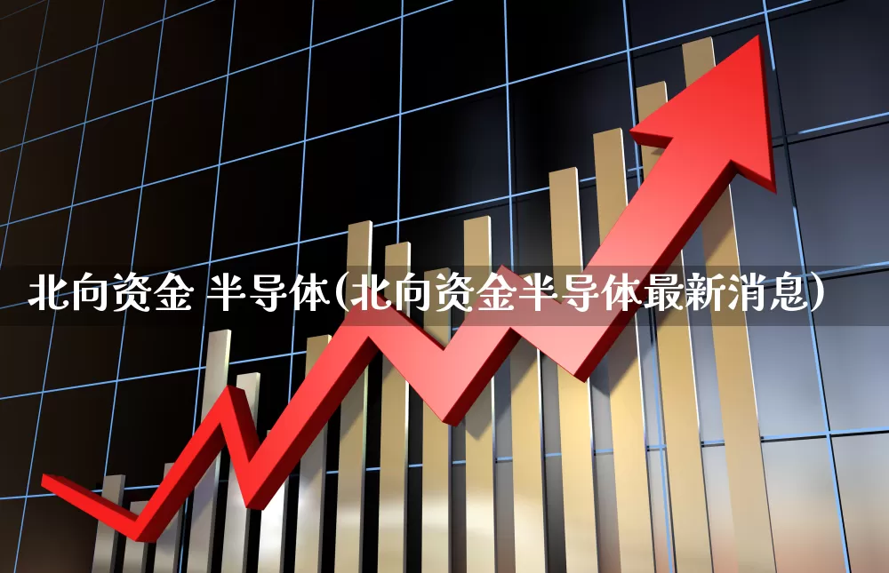 北向资金 半导体(北向资金半导体最新消息)_https://www.jumanxin.com_科创板_第1张
