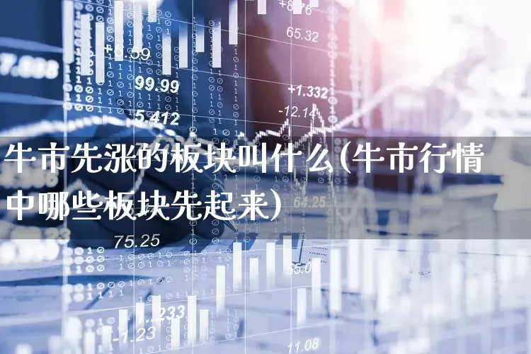 牛市先涨的板块叫什么(牛市行情中哪些板块先起来)_https://www.jumanxin.com_深交所_第1张