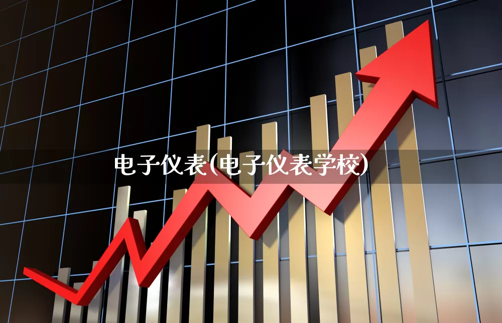 电子仪表(电子仪表学校)_https://www.jumanxin.com_上交所_第1张
