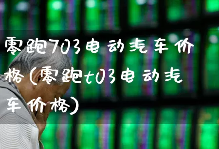 零跑703电动汽车价格(零跑t03电动汽车价格)_https://www.jumanxin.com_深交所_第1张
