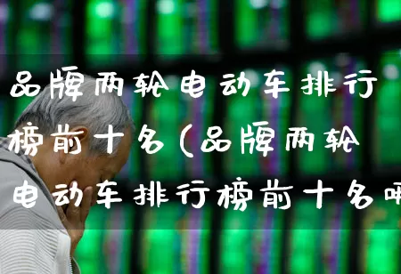 品牌两轮电动车排行榜前十名(品牌两轮电动车排行榜前十名哪一款的好)_https://www.jumanxin.com_科创板_第1张