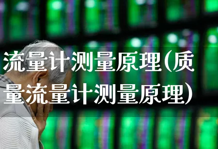 流量计测量原理(质量流量计测量原理)_https://www.jumanxin.com_上交所_第1张