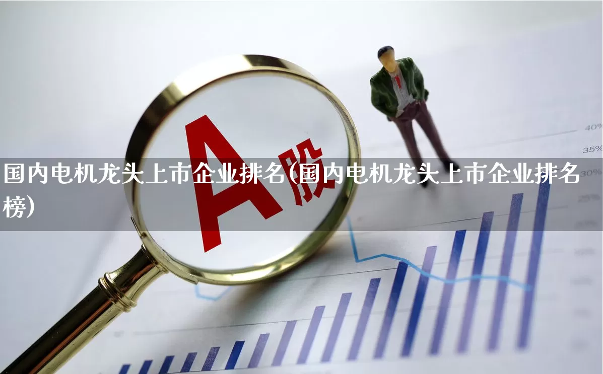 国内电机龙头上市企业排名(国内电机龙头上市企业排名榜)_https://www.jumanxin.com_上交所_第1张
