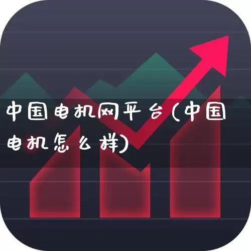 中国电机网平台(中国电机怎么样)_https://www.jumanxin.com_上交所_第1张