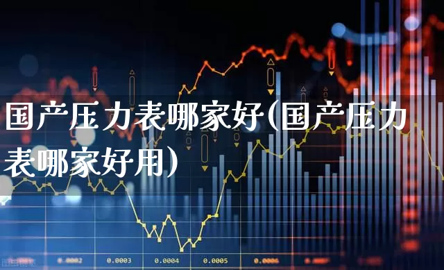 国产压力表哪家好(国产压力表哪家好用)_https://www.jumanxin.com_北交所_第1张