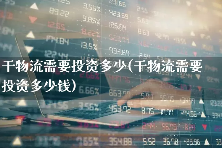 干物流需要投资多少(干物流需要投资多少钱)_https://www.jumanxin.com_科创板_第1张