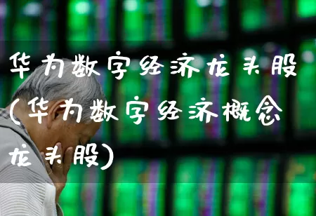 华为数字经济龙头股(华为数字经济概念龙头股)_https://www.jumanxin.com_科创板_第1张