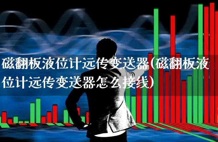 磁翻板液位计远传变送器(磁翻板液位计远传变送器怎么接线)_https://www.jumanxin.com_创业板_第1张