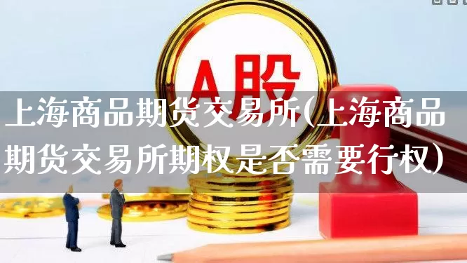 上海商品期货交易所(上海商品期货交易所期权是否需要行权)_https://www.jumanxin.com_上交所_第1张