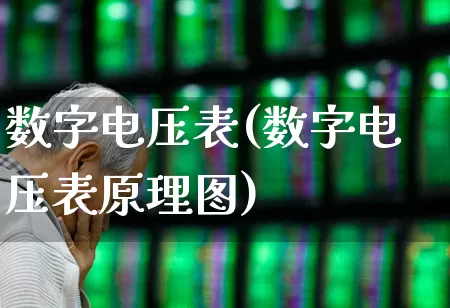 数字电压表(数字电压表原理图)_https://www.jumanxin.com_创业板_第1张