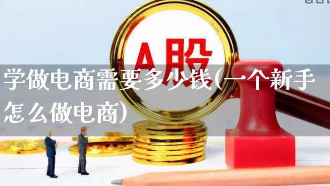 学做电商需要多少钱(一个新手怎么做电商)_https://www.jumanxin.com_上交所_第1张
