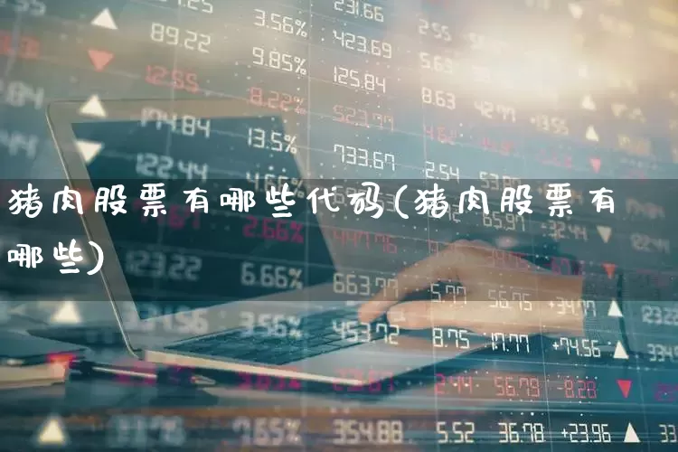 猪肉股票有哪些代码(猪肉股票有哪些)_https://www.jumanxin.com_科创板_第1张