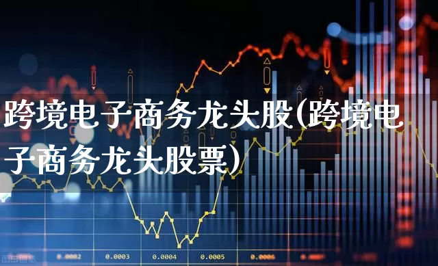 跨境电子商务龙头股(跨境电子商务龙头股票)_https://www.jumanxin.com_上交所_第1张