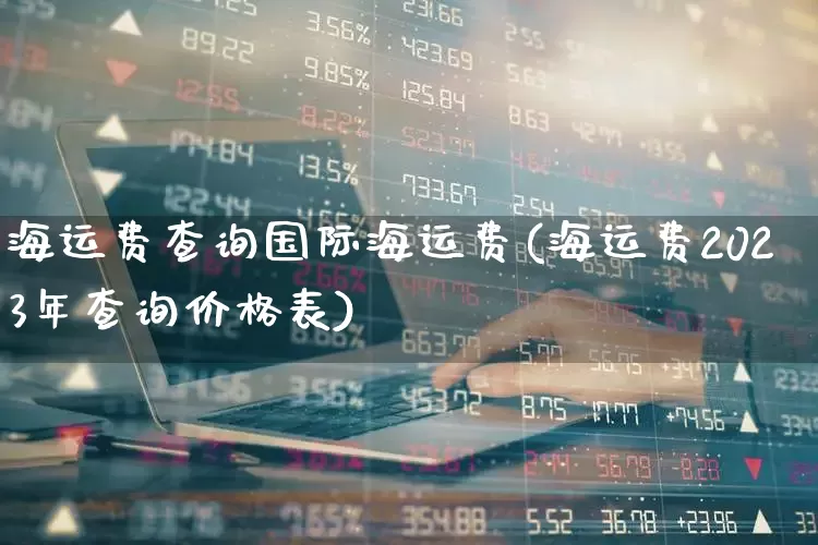 海运费查询国际海运费(海运费2023年查询价格表)_https://www.jumanxin.com_创业板_第1张