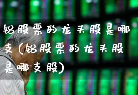 铝股票的龙头股是哪支(铝股票的龙头股是哪支股)_https://www.jumanxin.com_北交所_第1张