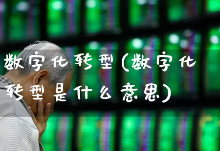 数字化转型(数字化转型是什么意思)_https://www.jumanxin.com_北交所_第1张