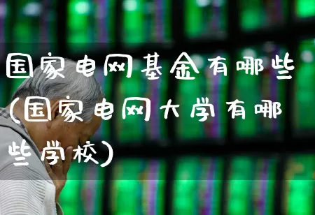 国家电网基金有哪些(国家电网大学有哪些学校)_https://www.jumanxin.com_深交所_第1张