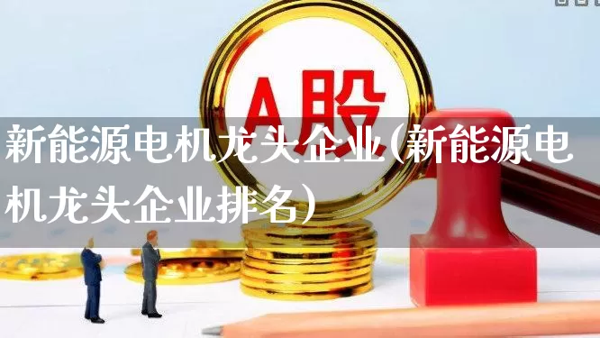新能源电机龙头企业(新能源电机龙头企业排名)_https://www.jumanxin.com_深交所_第1张