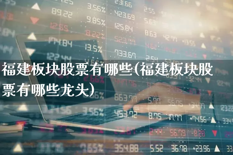 福建板块股票有哪些(福建板块股票有哪些龙头)_https://www.jumanxin.com_深交所_第1张