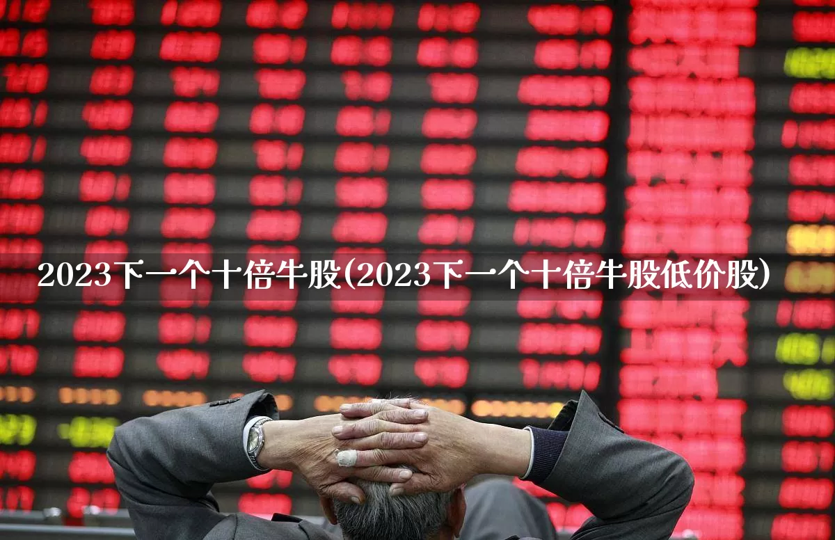 2023下一个十倍牛股(2023下一个十倍牛股低价股)_https://www.jumanxin.com_上交所_第1张