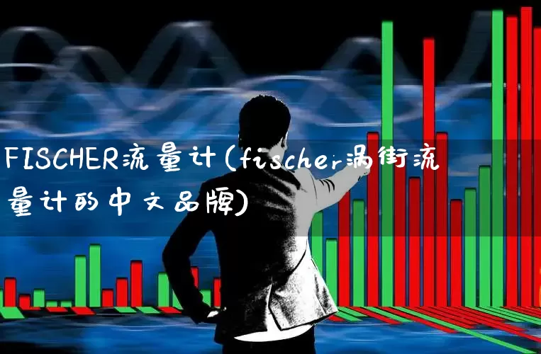 FISCHER流量计(fischer涡街流量计的中文品牌)_https://www.jumanxin.com_深交所_第1张