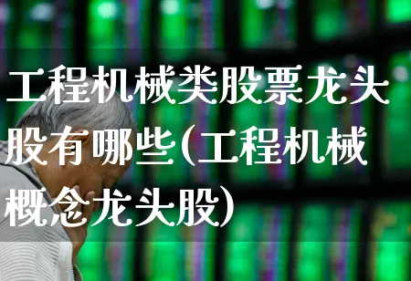 工程机械类股票龙头股有哪些(工程机械概念龙头股)_https://www.jumanxin.com_深交所_第1张
