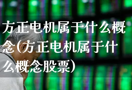 方正电机属于什么概念(方正电机属于什么概念股票)_https://www.jumanxin.com_创业板_第1张