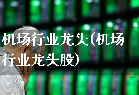 机场行业龙头(机场行业龙头股)_https://www.jumanxin.com_上交所_第1张
