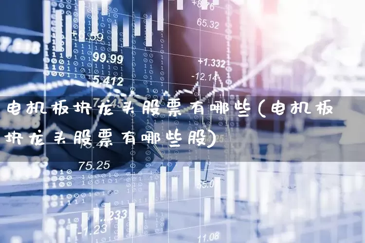 电机板块龙头股票有哪些(电机板块龙头股票有哪些股)_https://www.jumanxin.com_创业板_第1张