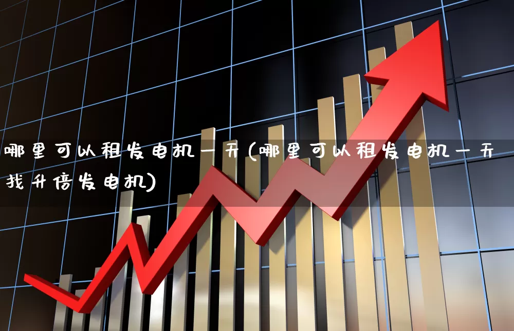 哪里可以租发电机一天(哪里可以租发电机一天找升倍发电机)_https://www.jumanxin.com_北交所_第1张