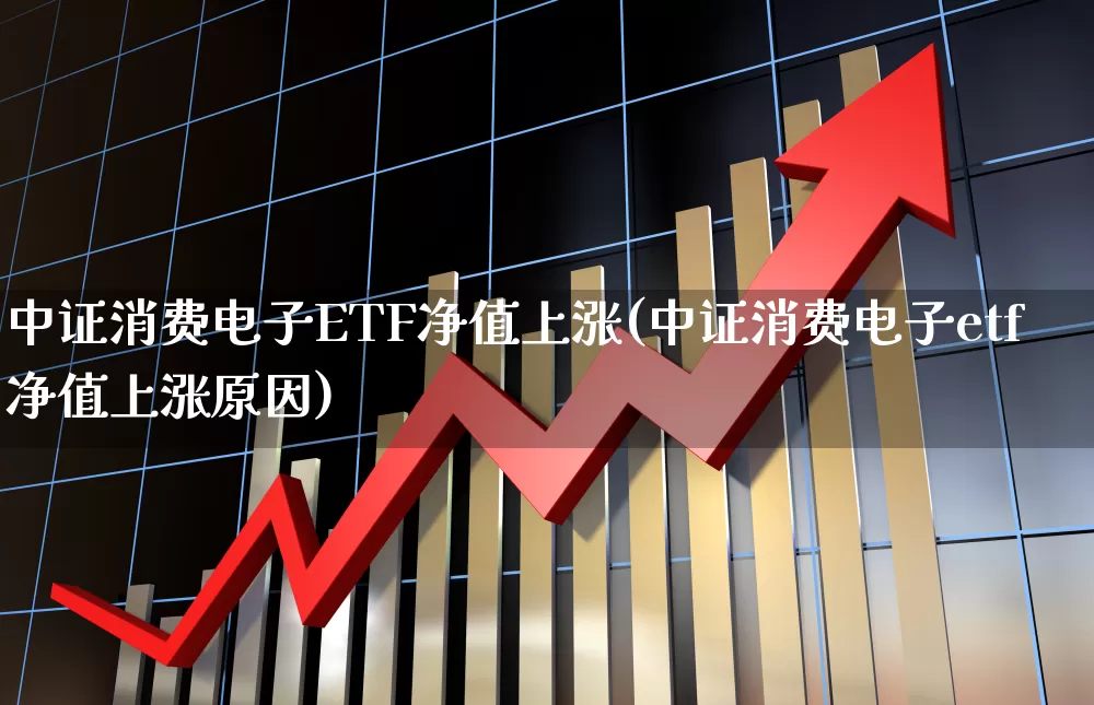 中证消费电子ETF净值上涨(中证消费电子etf净值上涨原因)_https://www.jumanxin.com_上交所_第1张